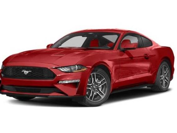 FORD MUSTANG 2022 1FA6P8TH9N5131885 image