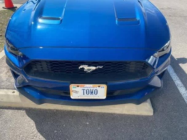 FORD MUSTANG 2022 1FA6P8TH4N5132345 image