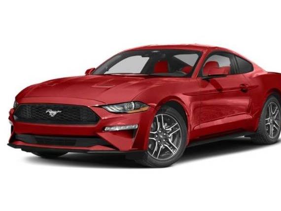 FORD MUSTANG 2022 1FA6P8TH6N5100982 image
