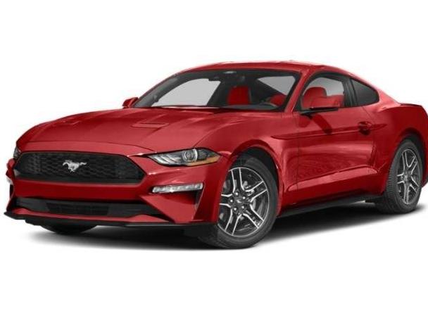 FORD MUSTANG 2022 1FA6P8TH8N5131067 image