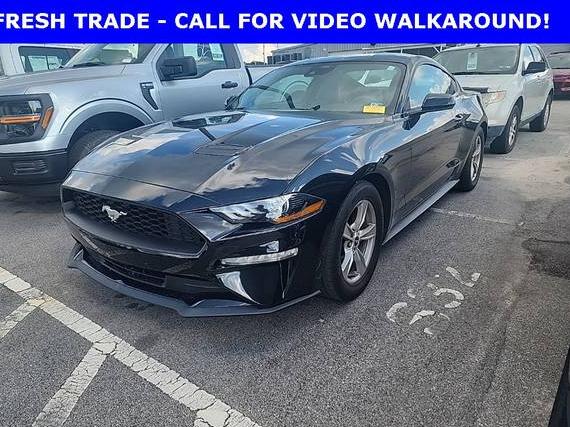 FORD MUSTANG 2022 1FA6P8TH7N5133330 image