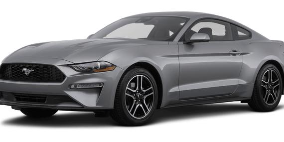 FORD MUSTANG 2022 1FA6P8TH3N5111793 image