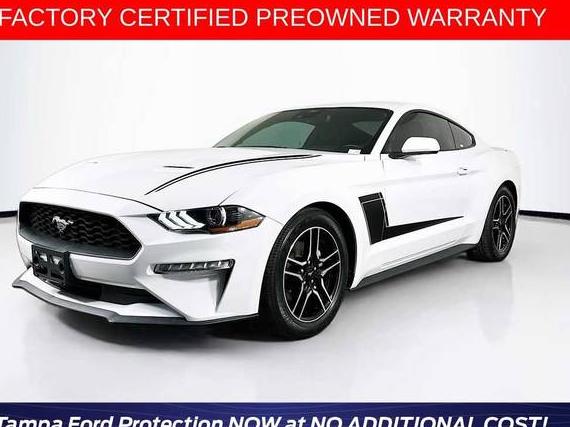 FORD MUSTANG 2022 1FA6P8TH6N5107673 image