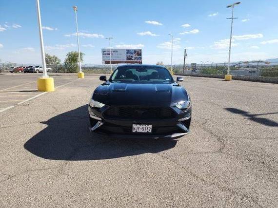 FORD MUSTANG 2022 1FA6P8TH4N5113438 image