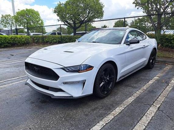 FORD MUSTANG 2022 1FA6P8TH7N5136390 image