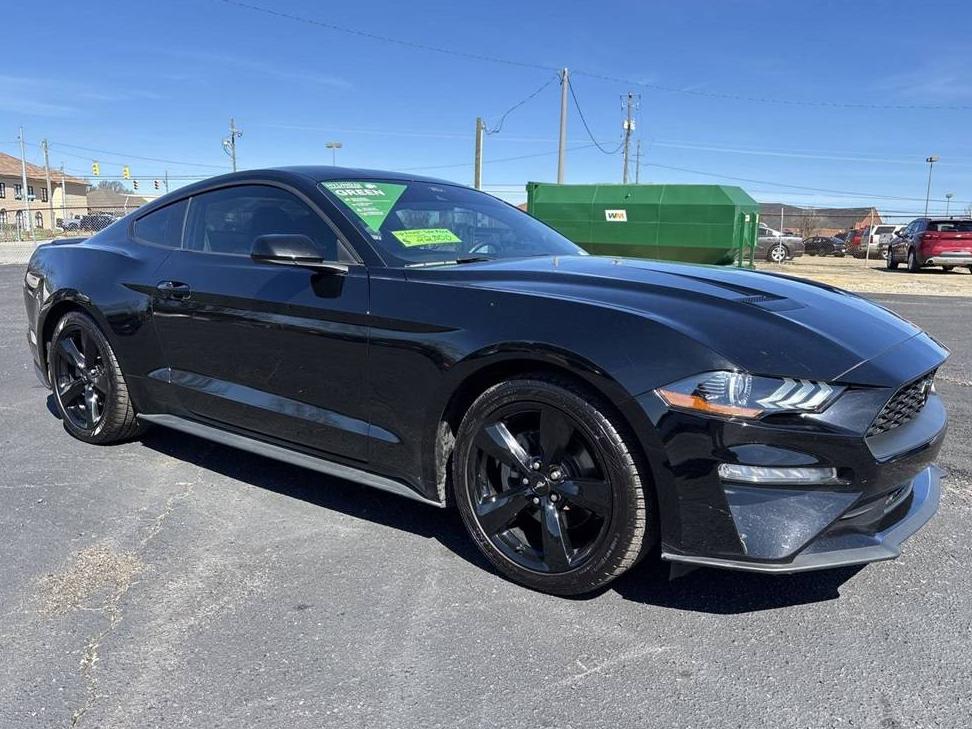 FORD MUSTANG 2022 1FA6P8TH5N5111570 image