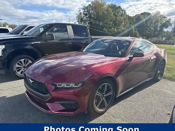 FORD MUSTANG 2025 1FA6P8TH2S5107343 image FORD MUSTANG 2025 1FA6P8TH2S5107343 image