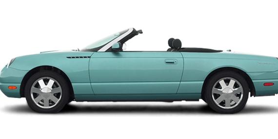 FORD THUNDERBIRD 2002 1FAHP60A82Y105907 image