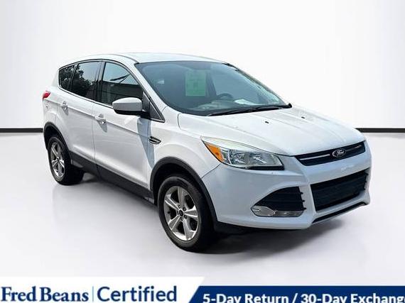 FORD ESCAPE 2016 1FMCU9GX2GUC49617 image