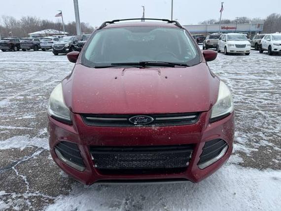 FORD ESCAPE 2016 1FMCU9GX3GUC66605 image FORD ESCAPE 2016 1FMCU9GX3GUC66605 image