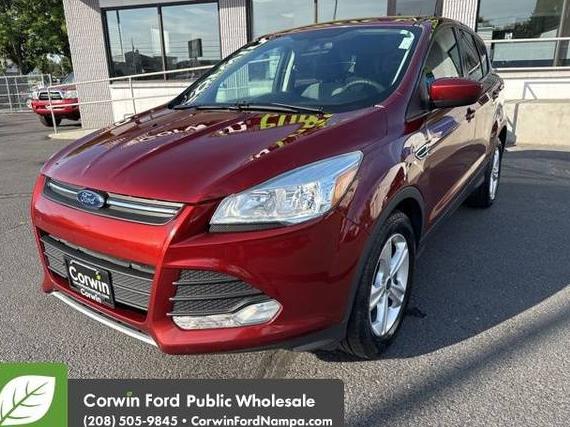 FORD ESCAPE 2016 1FMCU0G76GUB82922 image