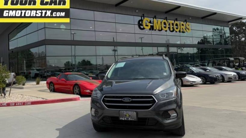 FORD ESCAPE 2019 1FMCU0GD8KUB06942 image