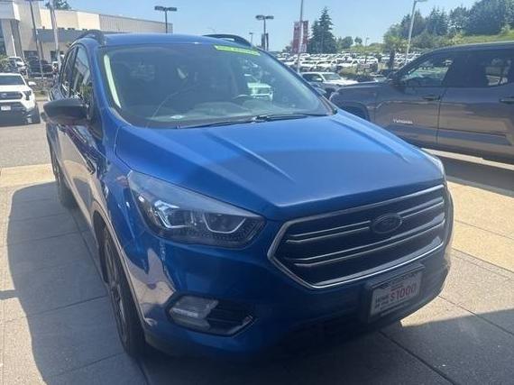 FORD ESCAPE 2019 1FMCU9GD8KUA55589 image