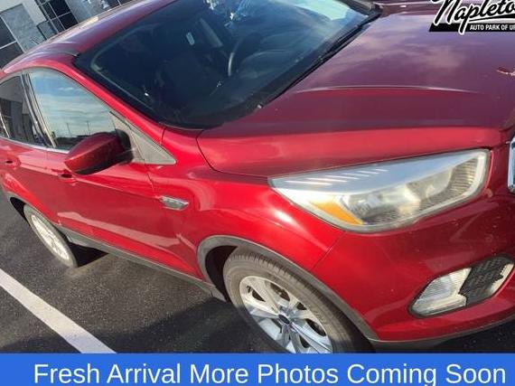 FORD ESCAPE 2017 1FMCU0GD8HUE69461 image