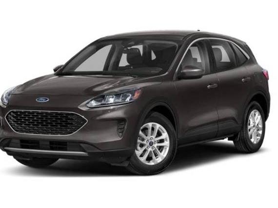 FORD ESCAPE 2020 1FMCU0G64LUC42455 image