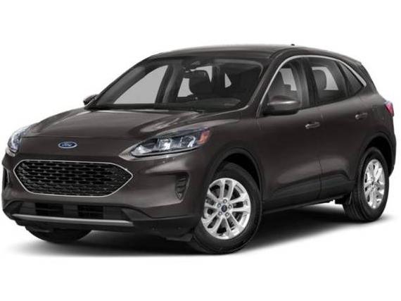 FORD ESCAPE 2020 1FMCU0G62LUC46892 image