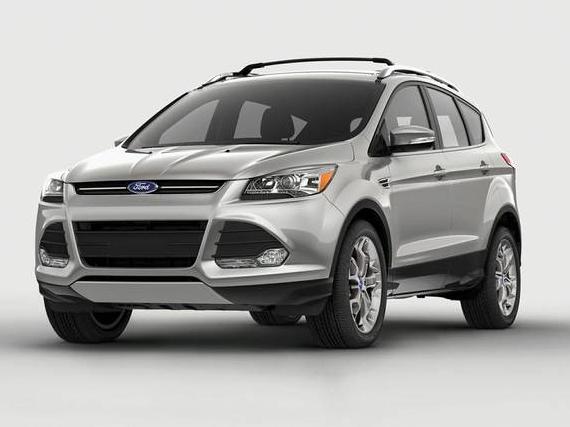 FORD ESCAPE 2013 1FMCU0G94DUC14117 image