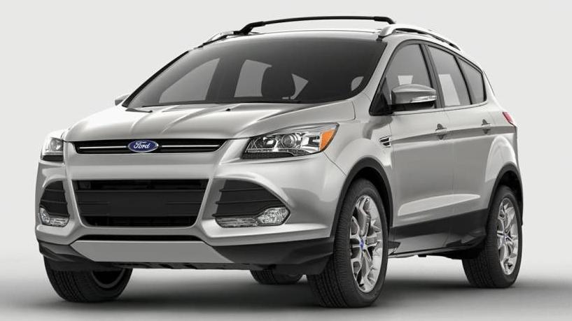 FORD ESCAPE 2014 1FMCU0F74EUB15461 image