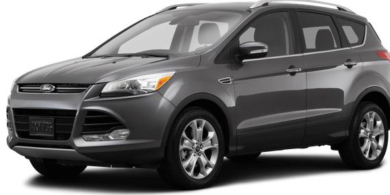 FORD ESCAPE 2014 1FMCU0JX8EUC15862 image