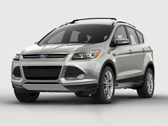 FORD ESCAPE 2014 1FMCU0GX0EUC01879 image