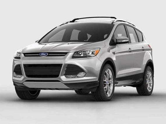 FORD ESCAPE 2014 1FMCU0GX0EUE07607 image