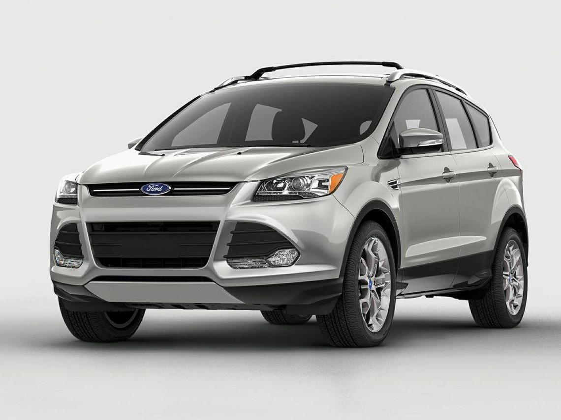 FORD ESCAPE 2014 1FMCU9G99EUA70781 image