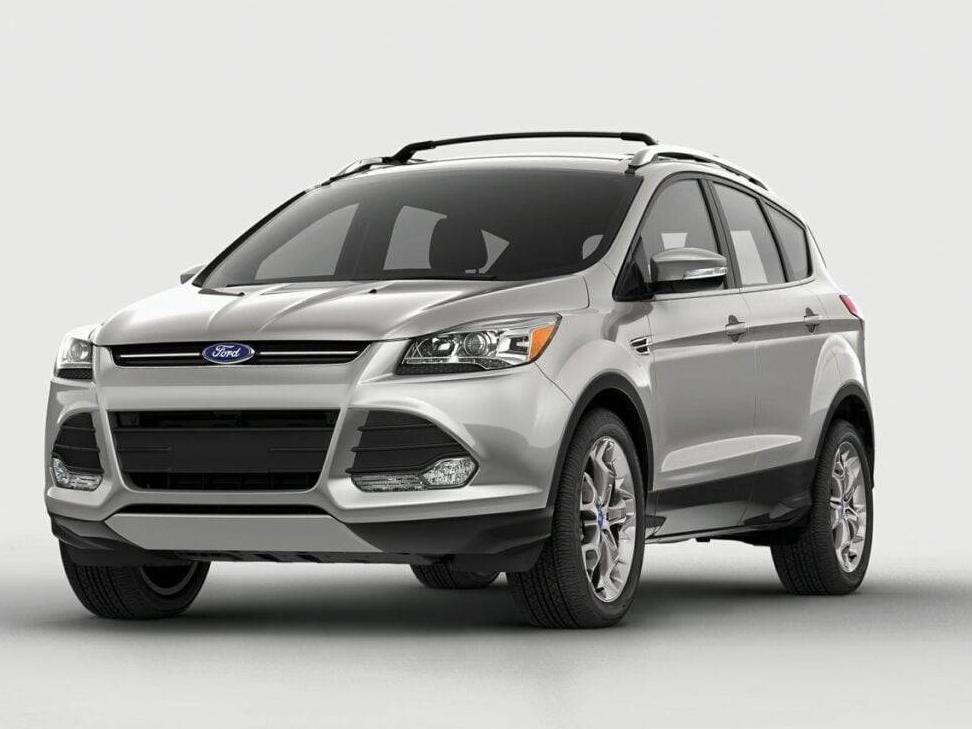 FORD ESCAPE 2014 1FMCU0GX6EUB59931 image