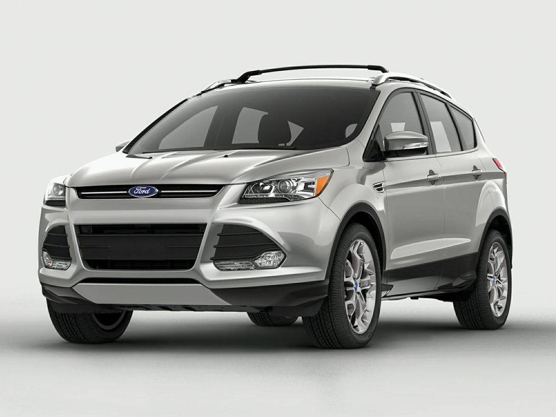 FORD ESCAPE 2014 1FMCU0J99EUC03169 image