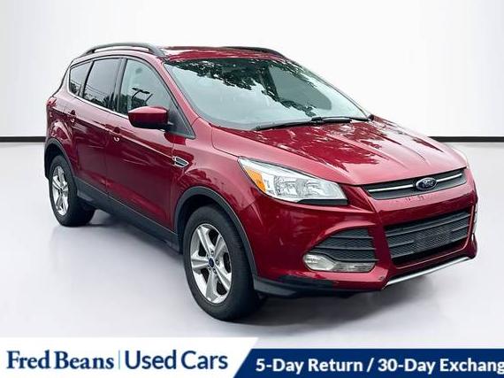 FORD ESCAPE 2014 1FMCU0GX7EUE05675 image