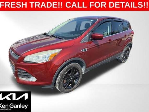 FORD ESCAPE 2014 1FMCU9GX3EUB70261 image