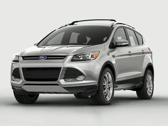 FORD ESCAPE 2014 1FMCU0JX8EUC72904 image