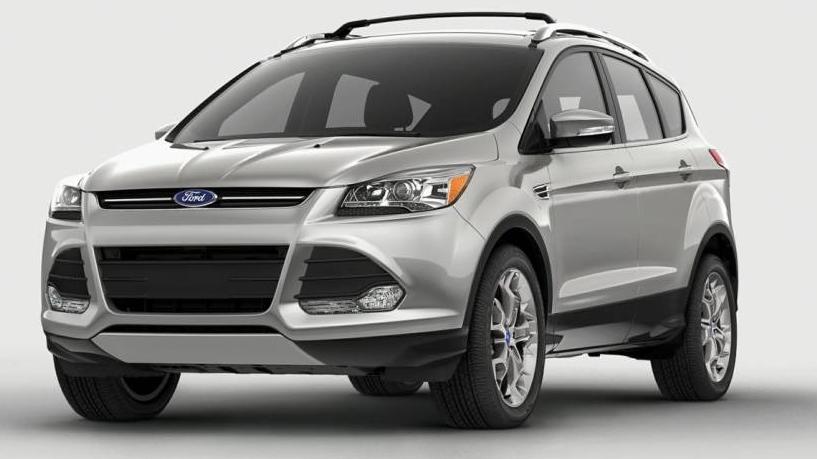 FORD ESCAPE 2014 1FMCU0GX5EUD59313 image