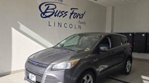 FORD ESCAPE 2014 1FMCU0G97EUD70816 image