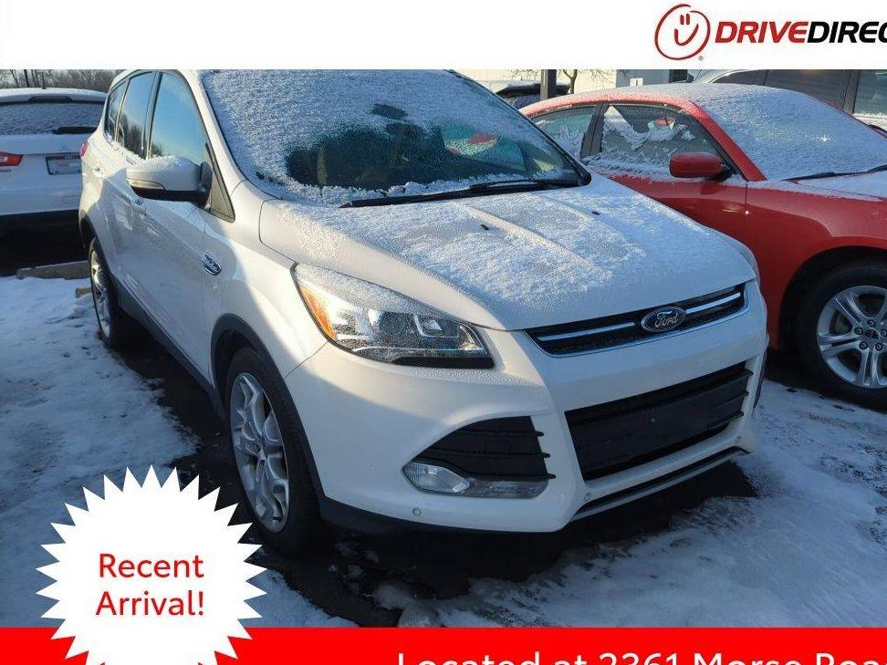 FORD ESCAPE 2014 1FMCU0JX1EUA28544 image