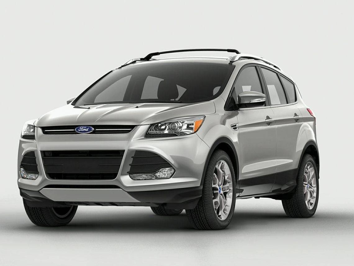 FORD ESCAPE 2014 1FMCU0GX1EUB71839 image