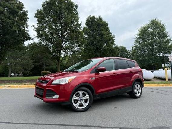 FORD ESCAPE 2014 1FMCU0GX1EUD22579 image