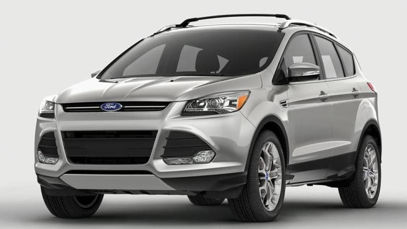 FORD ESCAPE 2014 1FMCU0GX6EUE11838 image