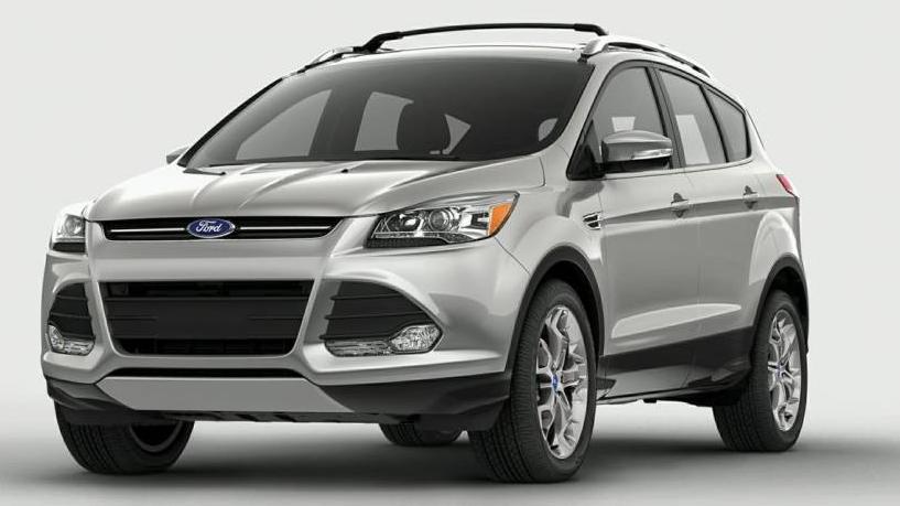 FORD ESCAPE 2014 1FMCU9GX1EUC06318 image