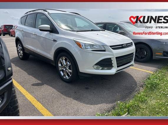 FORD ESCAPE 2014 1FMCU0GX8EUD43297 image