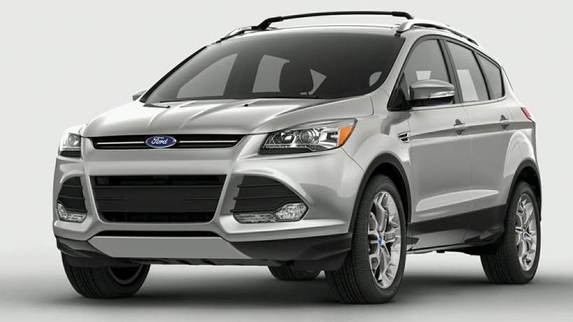 FORD ESCAPE 2014 1FMCU0GX1EUA11458 image