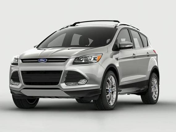 FORD ESCAPE 2014 1FMCU0F79EUA69920 image