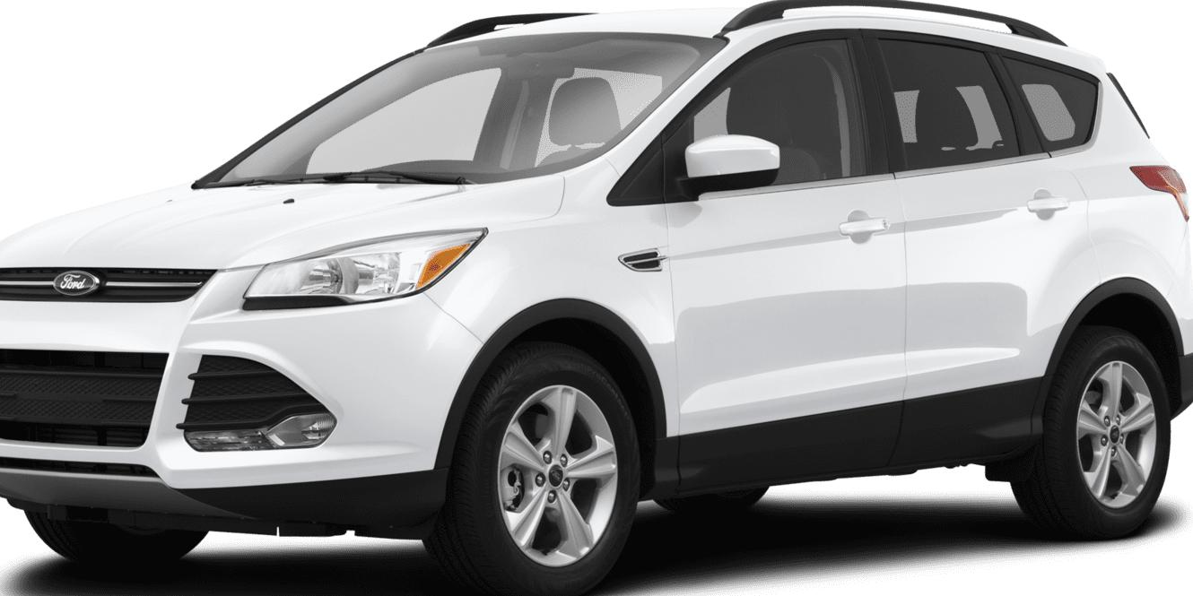 FORD ESCAPE 2014 1FMCU0GXXEUA37959 image