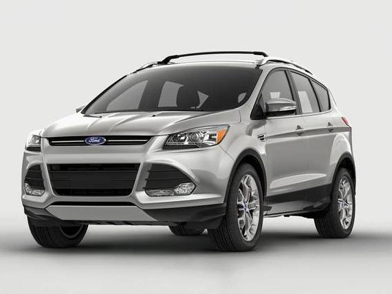 FORD ESCAPE 2014 1FMCU0G99EUC31500 image