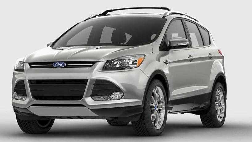 FORD ESCAPE 2014 1FMCU0GX2EUA11243 image