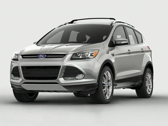 FORD ESCAPE 2014 1FMCU0GX5EUC66484 image