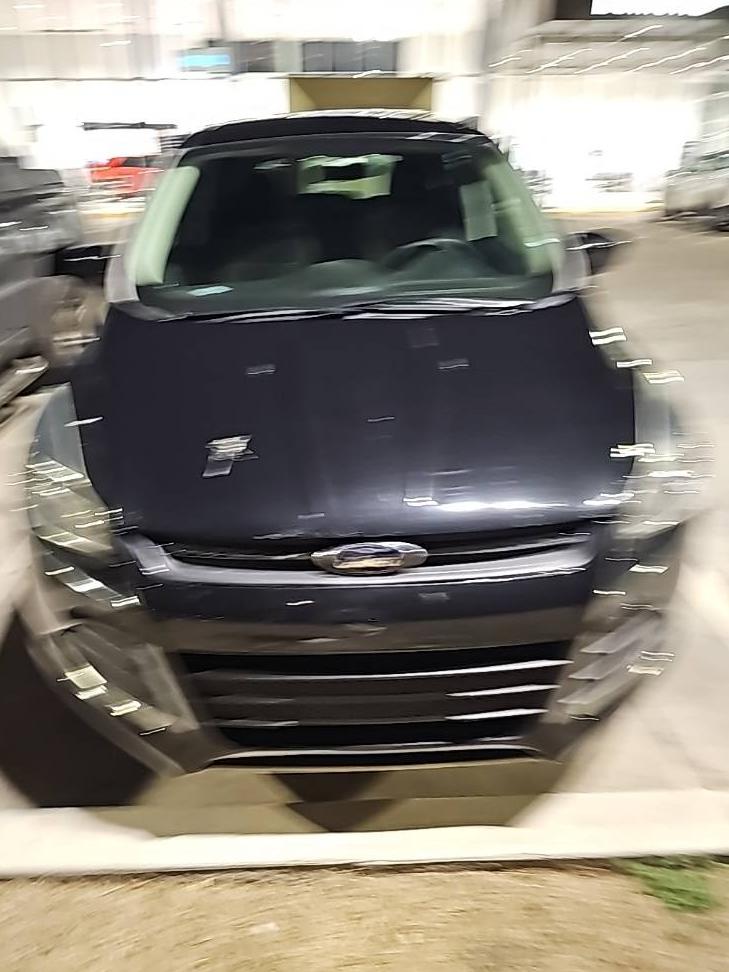 FORD ESCAPE 2015 1FMCU0GX8FUA04721 image