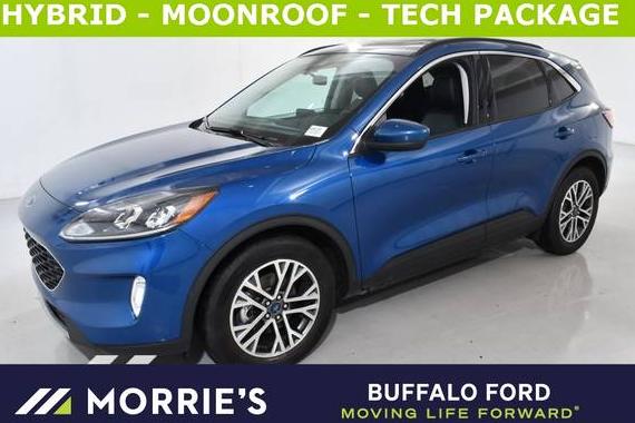 FORD ESCAPE 2022 1FMCU0CZ9NUA91065 image