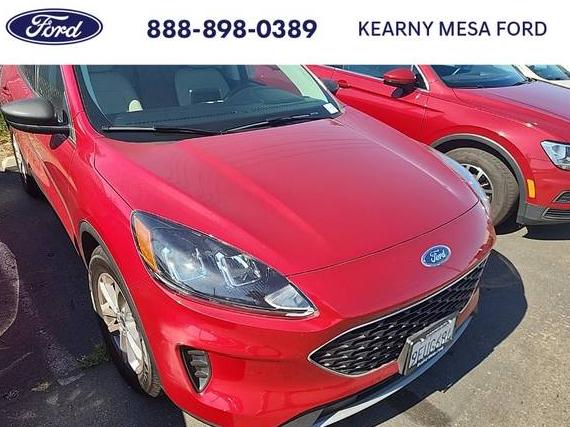 FORD ESCAPE 2022 1FMCU0G64NUB62818 image