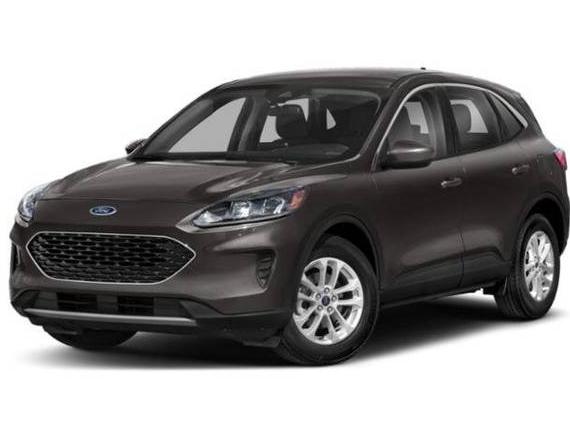 FORD ESCAPE 2022 1FMCU0G66NUA02665 image
