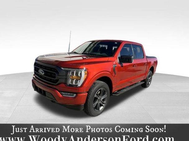 FORD F-150 2023 1FTEW1EP9PKD80017 image